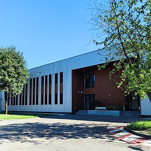 202 - DALMINE OFFICE